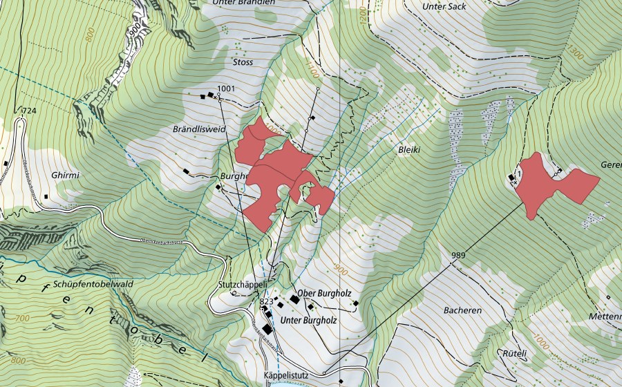 swisstopo national map showing the protected perimeter of Brändlisweid (Dry meadow)