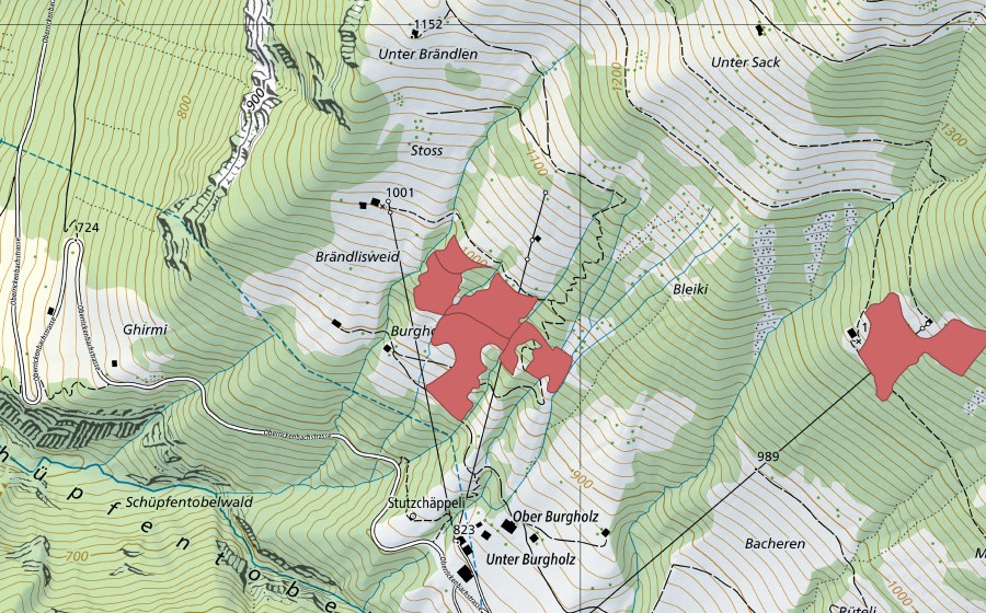swisstopo national map showing the protected perimeter of Brändlisweid (Dry meadow)