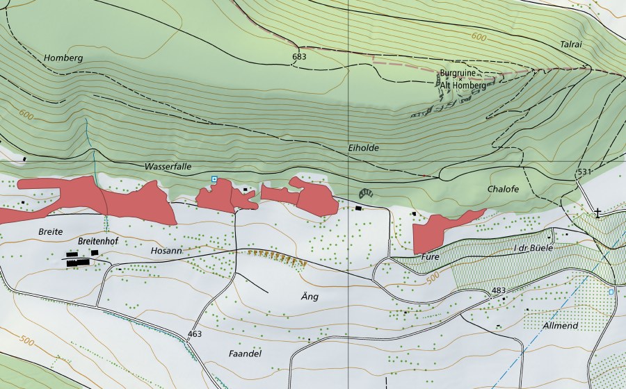 Landeskarte swisstopo mit dem Schutzperimeter von Breiten (Trockenwiese)