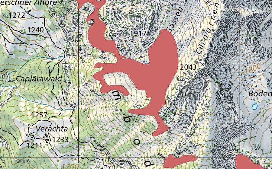 swisstopo national map showing the protected perimeter of Breitplangg (Dry meadow)