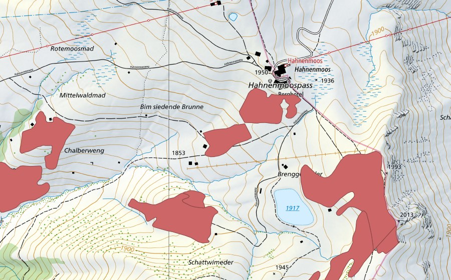 Landeskarte swisstopo mit dem Schutzperimeter von Brenggenmeder (Trockenwiese)