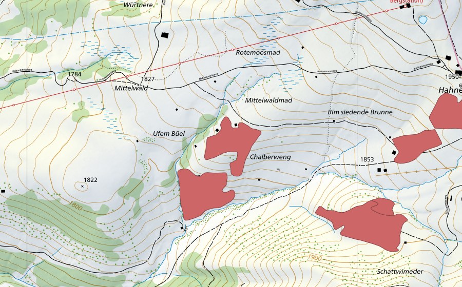 swisstopo national map showing the protected perimeter of Brenggenmeder (Dry meadow)