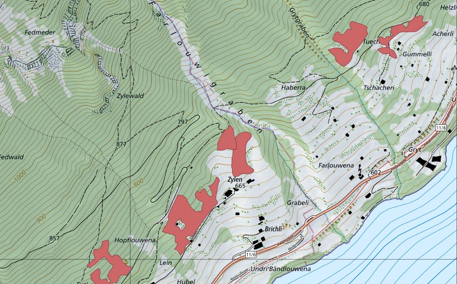 Carte nationale swisstopo avec le périmètre protégé de Brichli (Prairie sèche)