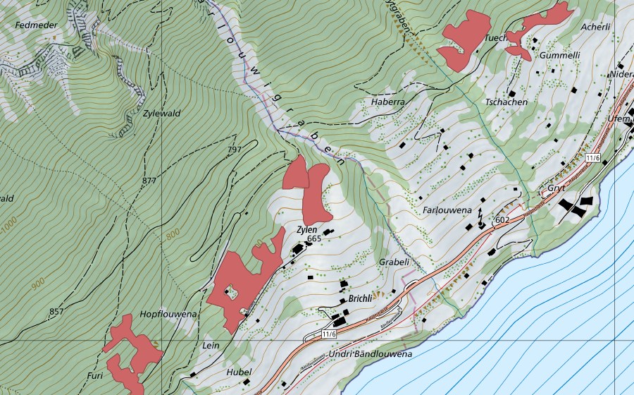 Carte nationale swisstopo avec le périmètre protégé de Brichli (Prairie sèche)