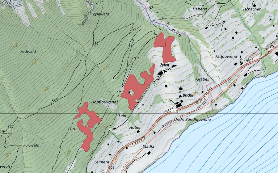 Landeskarte swisstopo mit dem Schutzperimeter von Brichli (Trockenwiese)