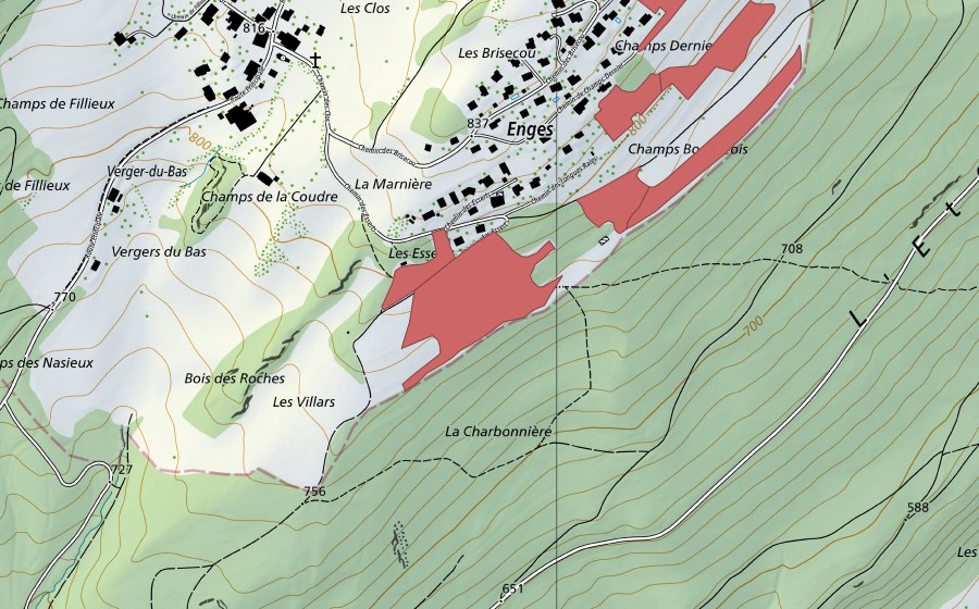 Landeskarte swisstopo mit dem Schutzperimeter von Brisecou (Trockenwiese)
