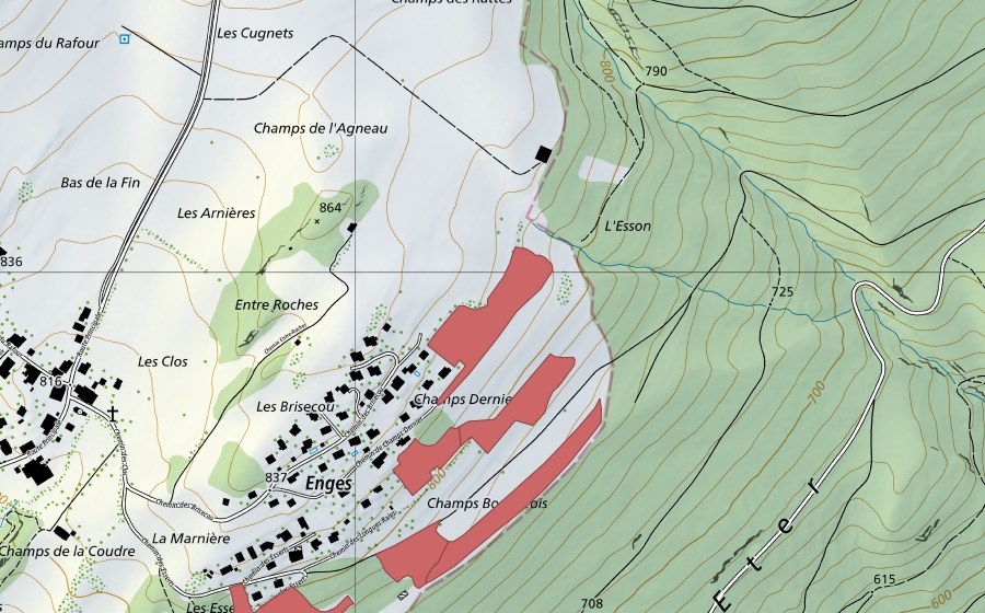 Landeskarte swisstopo mit dem Schutzperimeter von Brisecou (Trockenwiese)