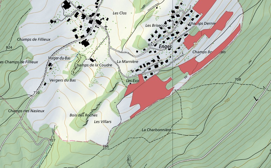 Landeskarte swisstopo mit dem Schutzperimeter von Brisecou (Trockenwiese)