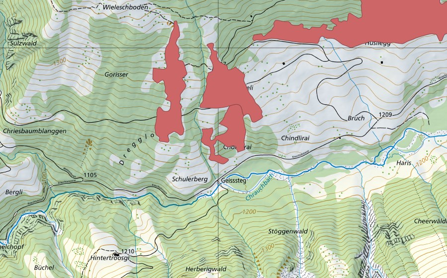 Carta nazionale swisstopo con il perimetro protetto di Bruch (Prato secco)