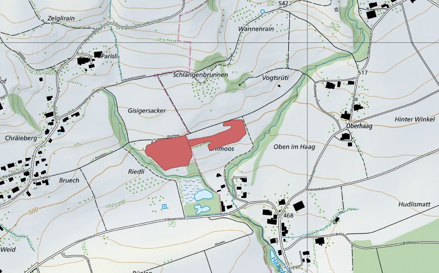 Carte nationale swisstopo avec le périmètre protégé de Bruech (Prairie sèche)