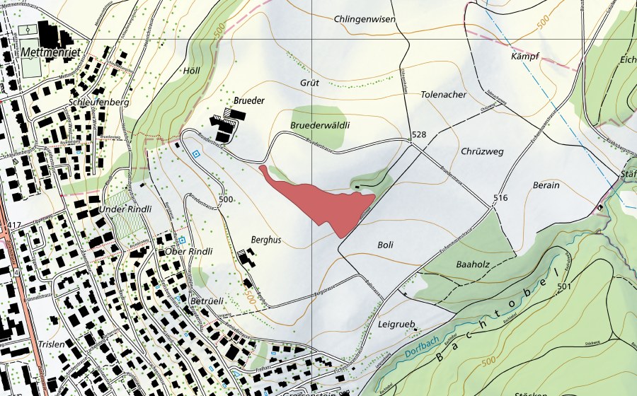Landeskarte swisstopo mit dem Schutzperimeter von Brueder (Trockenwiese)
