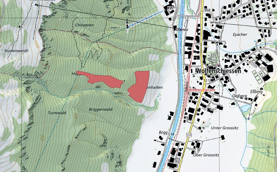 Landeskarte swisstopo mit dem Schutzperimeter von Brüggenhalten (Trockenwiese)