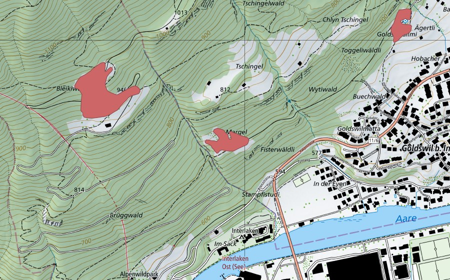 swisstopo national map showing the protected perimeter of Brüggwald (Dry meadow)