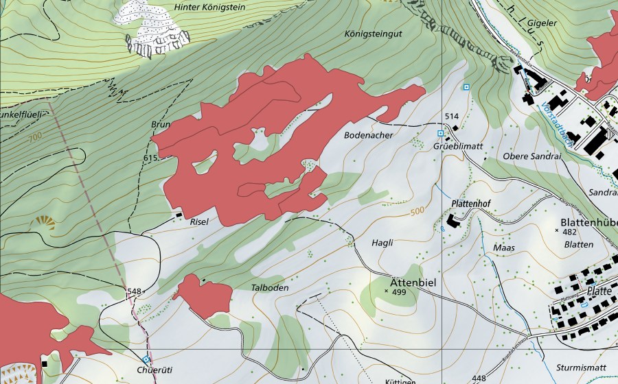 Carte nationale swisstopo avec le périmètre protégé de Brunneberg (Prairie sèche)
