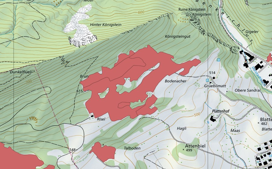 Landeskarte swisstopo mit dem Schutzperimeter von Brunneberg (Trockenwiese)