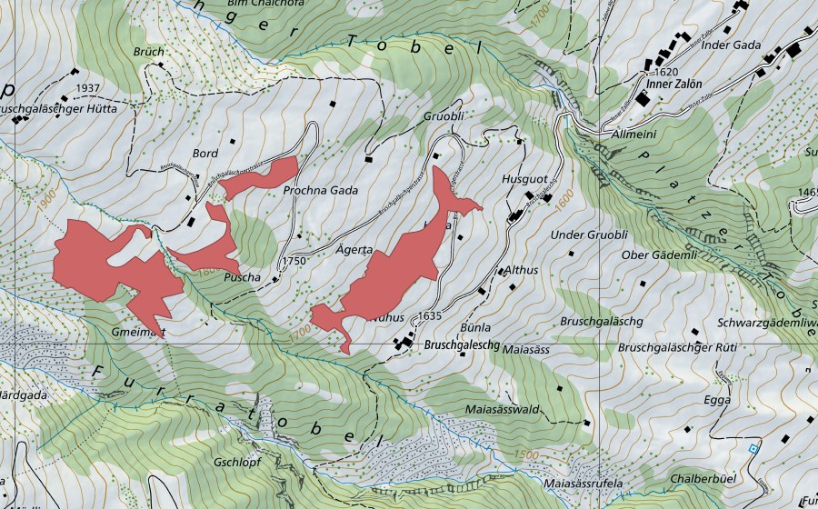 swisstopo national map showing the protected perimeter of Bruschgaläschg (Dry meadow)