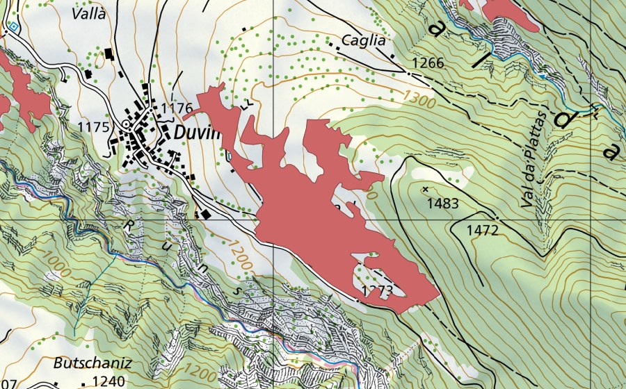 Carte nationale swisstopo avec le périmètre protégé de Bual (Prairie sèche)