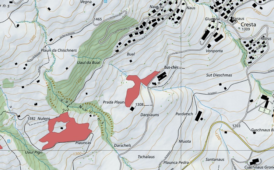Carte nationale swisstopo avec le périmètre protégé de Bual (Prairie sèche)