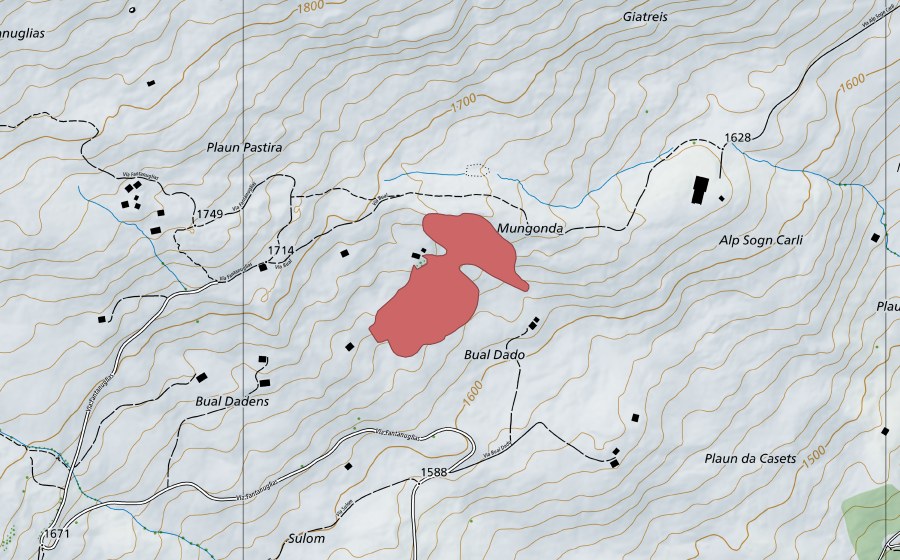Landeskarte swisstopo mit dem Schutzperimeter von Bual Dadens (Trockenwiese)