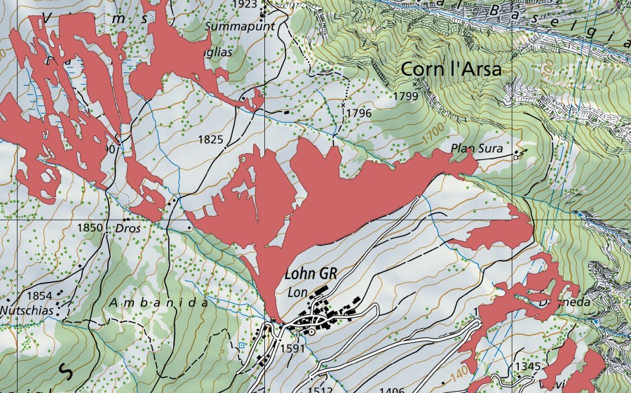 Landeskarte swisstopo mit dem Schutzperimeter von Bual (Trockenwiese)