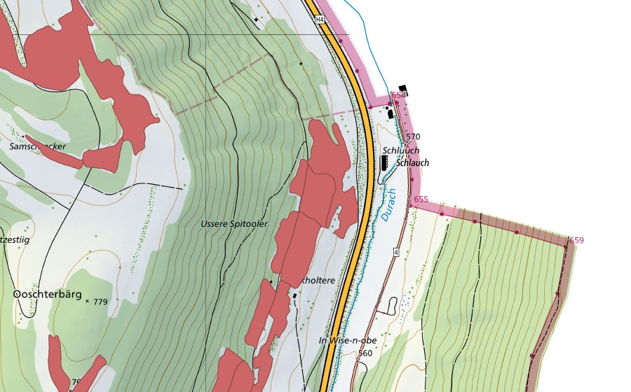 Landeskarte swisstopo mit dem Schutzperimeter von Buck (Trockenwiese)