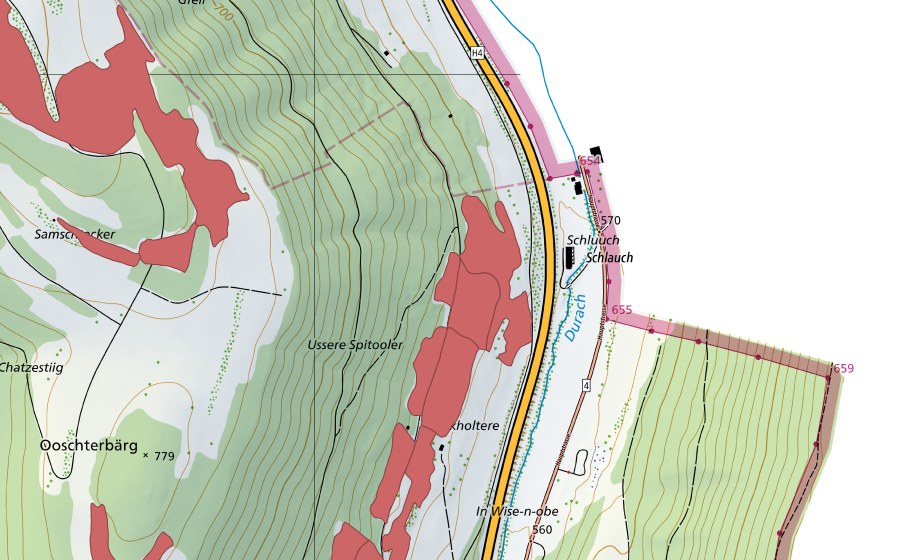 swisstopo national map showing the protected perimeter of Buck (Dry meadow)