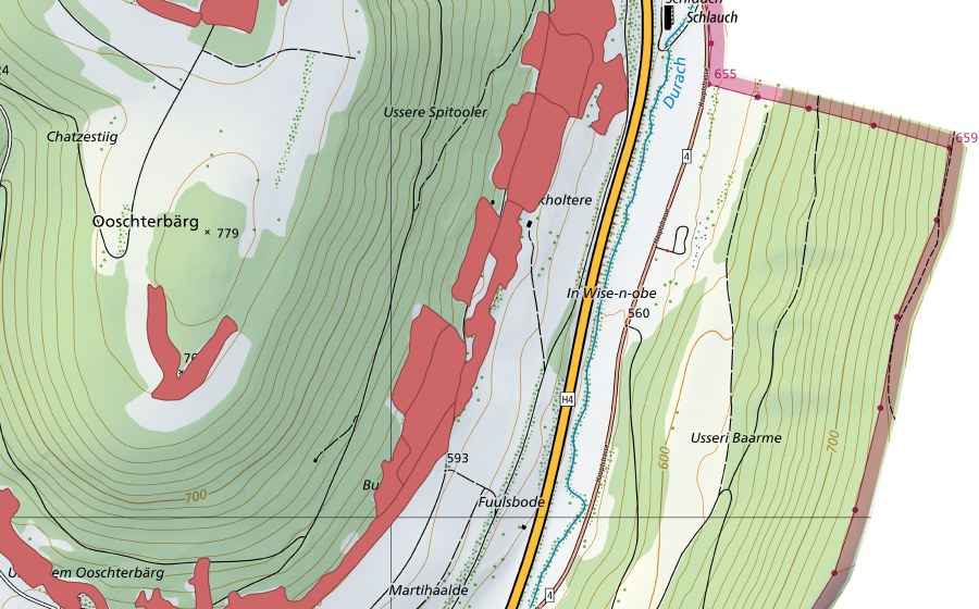 Landeskarte swisstopo mit dem Schutzperimeter von Buck (Trockenwiese)