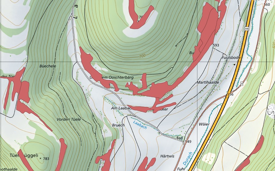 Landeskarte swisstopo mit dem Schutzperimeter von Buck (Trockenwiese)