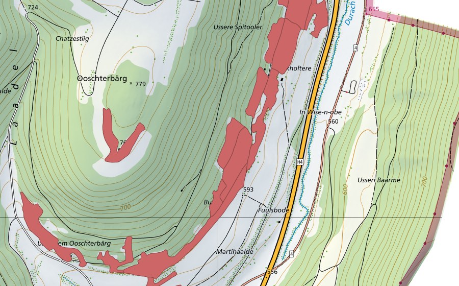 swisstopo national map showing the protected perimeter of Buck (Dry meadow)