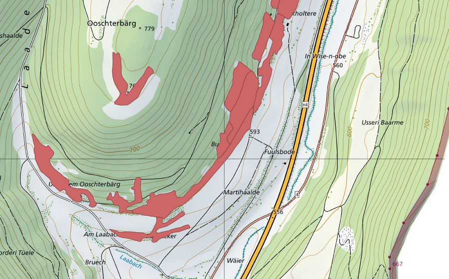 Carte nationale swisstopo avec le périmètre protégé de Buck (Prairie sèche)
