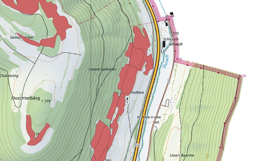 Landeskarte swisstopo mit dem Schutzperimeter von Buck (Trockenwiese)