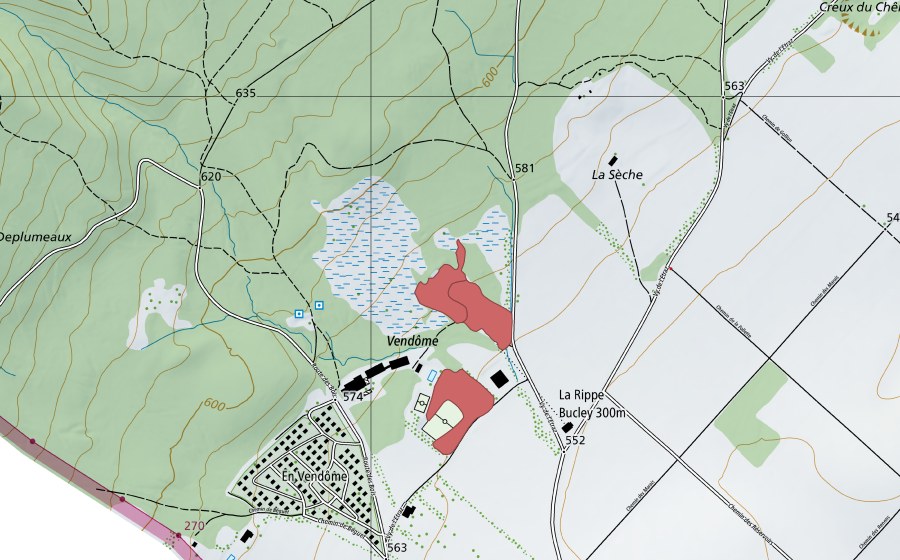 swisstopo national map showing the protected perimeter of Bucley (Dry meadow)