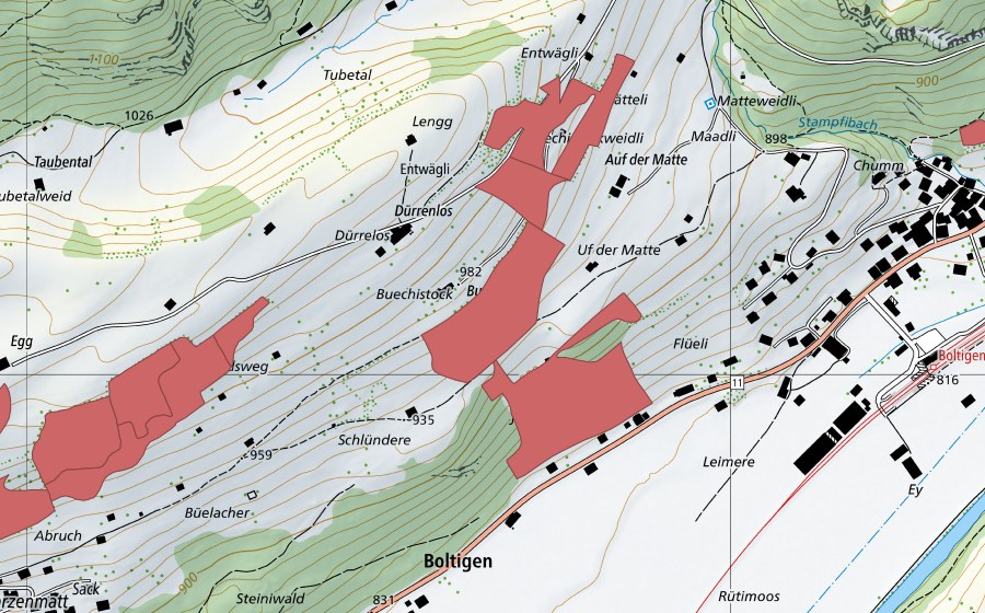 swisstopo national map showing the protected perimeter of Buechistock (Dry meadow)