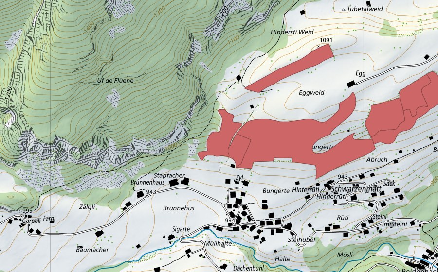 Landeskarte swisstopo mit dem Schutzperimeter von Buechistock (Trockenwiese)