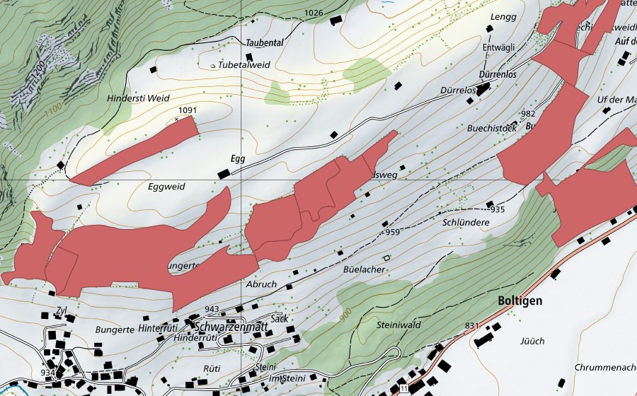 Carta nazionale swisstopo con il perimetro protetto di Buechistock (Prato secco)