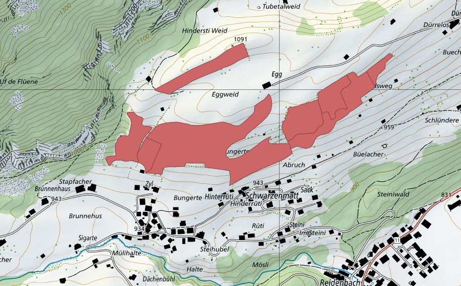 Landeskarte swisstopo mit dem Schutzperimeter von Buechistock (Trockenwiese)