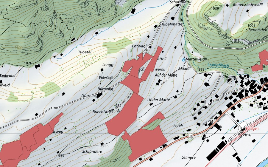 swisstopo national map showing the protected perimeter of Buechistock (Dry meadow)