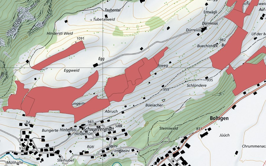 Carte nationale swisstopo avec le périmètre protégé de Buechistock (Prairie sèche)