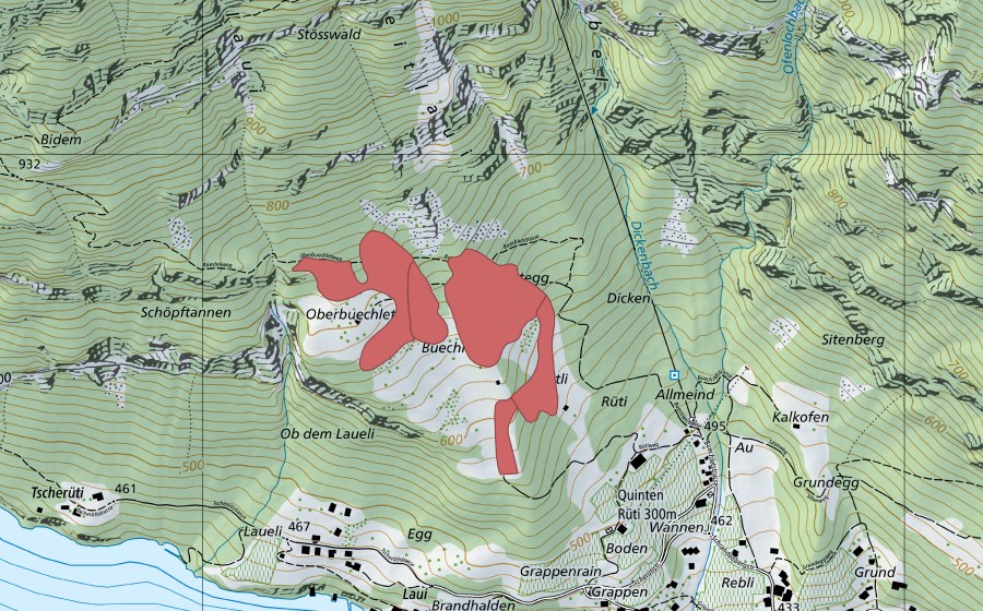 swisstopo national map showing the protected perimeter of Buechlet (Dry meadow)