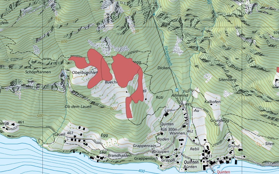 swisstopo national map showing the protected perimeter of Buechlet (Dry meadow)