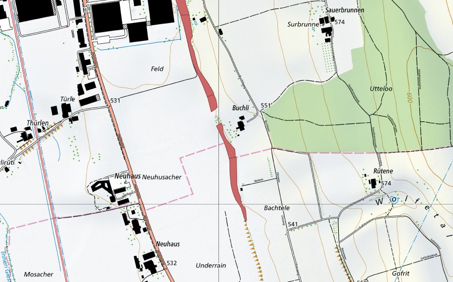 swisstopo national map showing the protected perimeter of Buechli (Dry meadow)