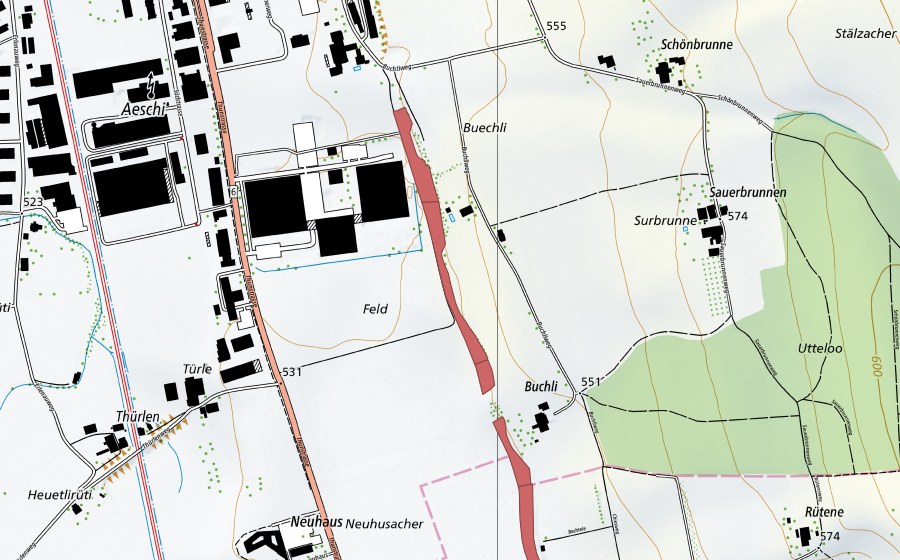 Landeskarte swisstopo mit dem Schutzperimeter von Buechli (Trockenwiese)