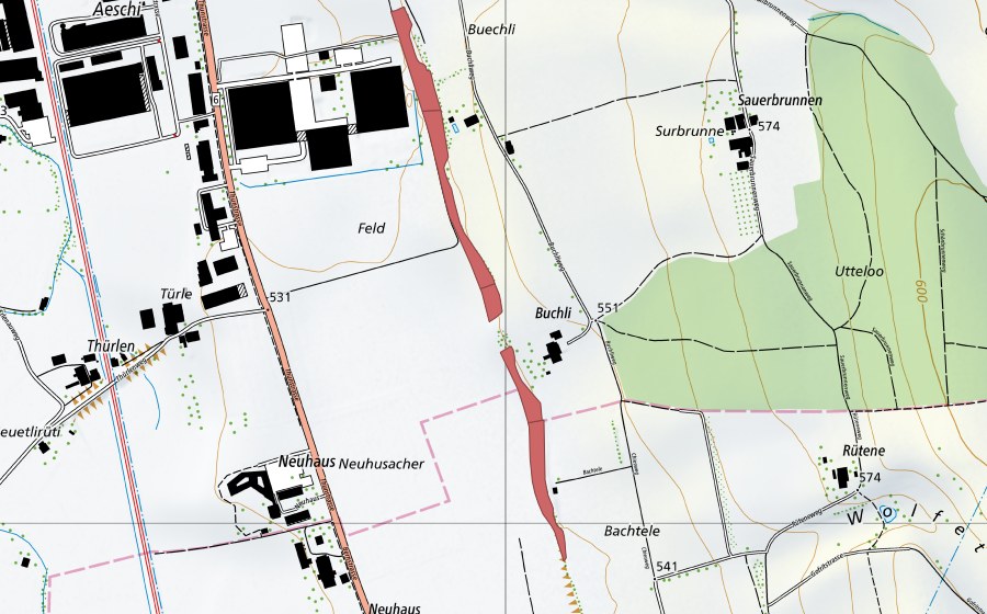 Landeskarte swisstopo mit dem Schutzperimeter von Buechli (Trockenwiese)