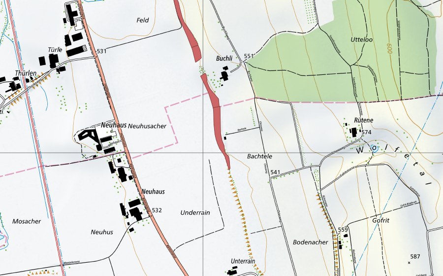swisstopo national map showing the protected perimeter of Buechli (Dry meadow)