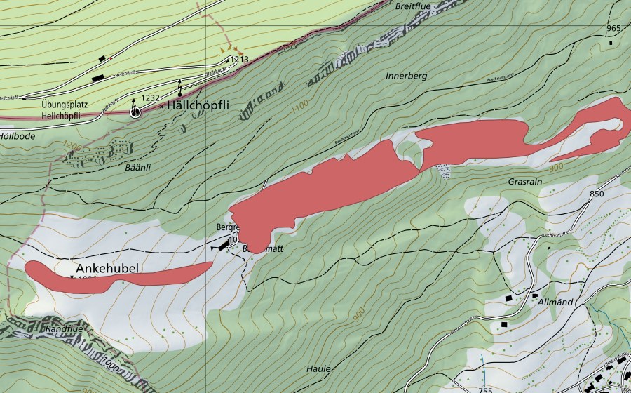 swisstopo national map showing the protected perimeter of Buechmatt (Dry meadow)