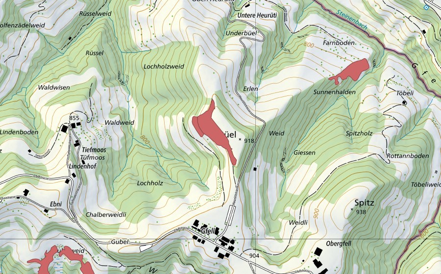 swisstopo national map showing the protected perimeter of Büel (Dry meadow)