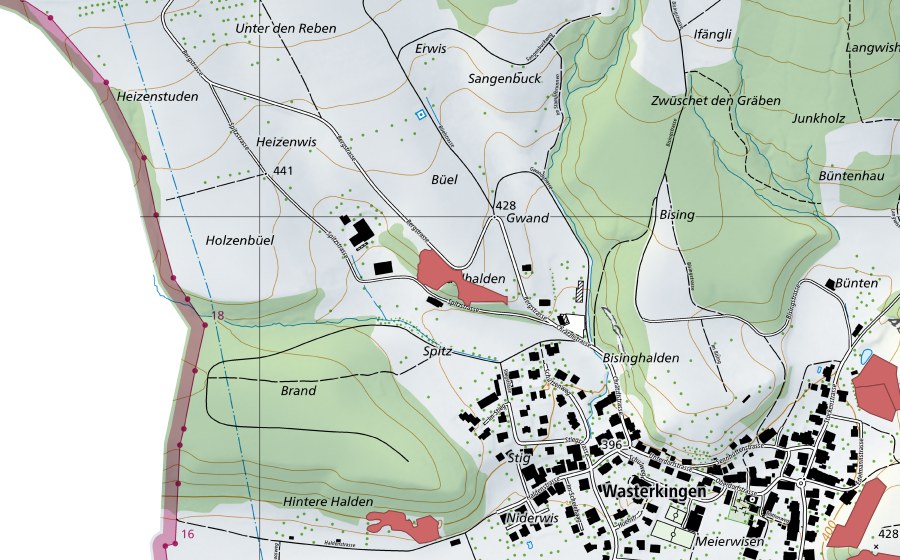Carte nationale swisstopo avec le périmètre protégé de Büel (Prairie sèche)