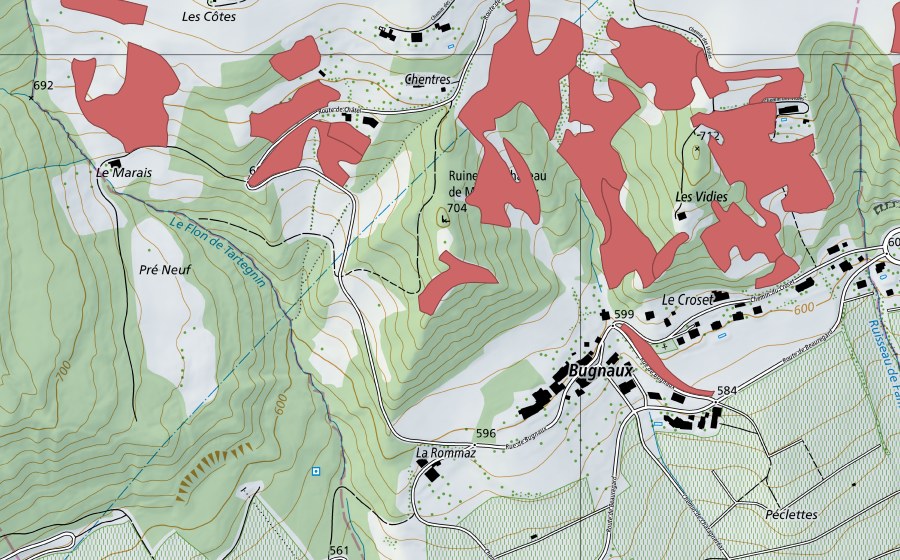 swisstopo national map showing the protected perimeter of Bugnaux (Dry meadow)