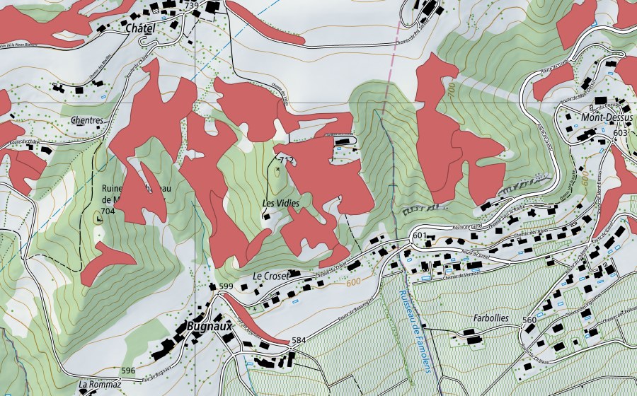 swisstopo national map showing the protected perimeter of Bugnaux (Dry meadow)