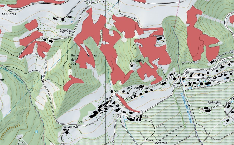 Landeskarte swisstopo mit dem Schutzperimeter von Bugnaux (Trockenwiese)